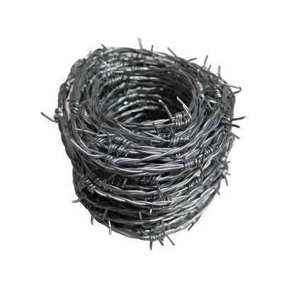 Gepersonaliseerd gegalvaniseerd en poederbedekt Razor Wire hek voor residentiële bescherming